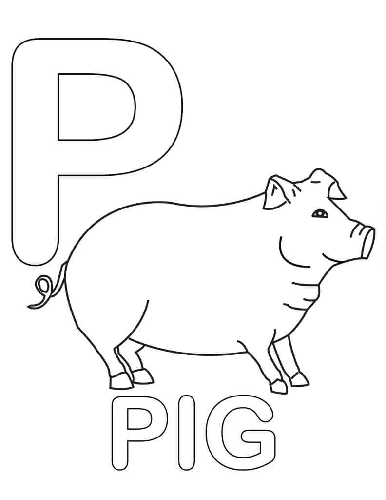 Dibujo de Letra de Cerdo P para Colorear