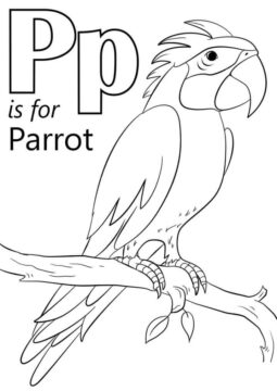 Dibujo de Loro Letra P para Colorear