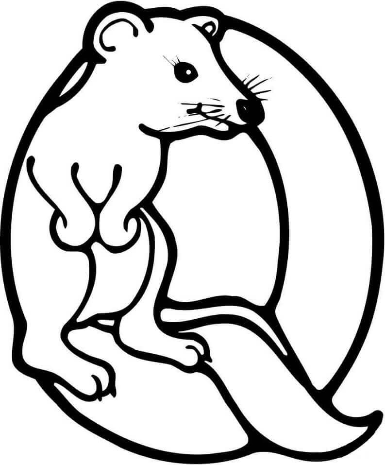 Dibujo de Letra Q de Quokka para Colorear