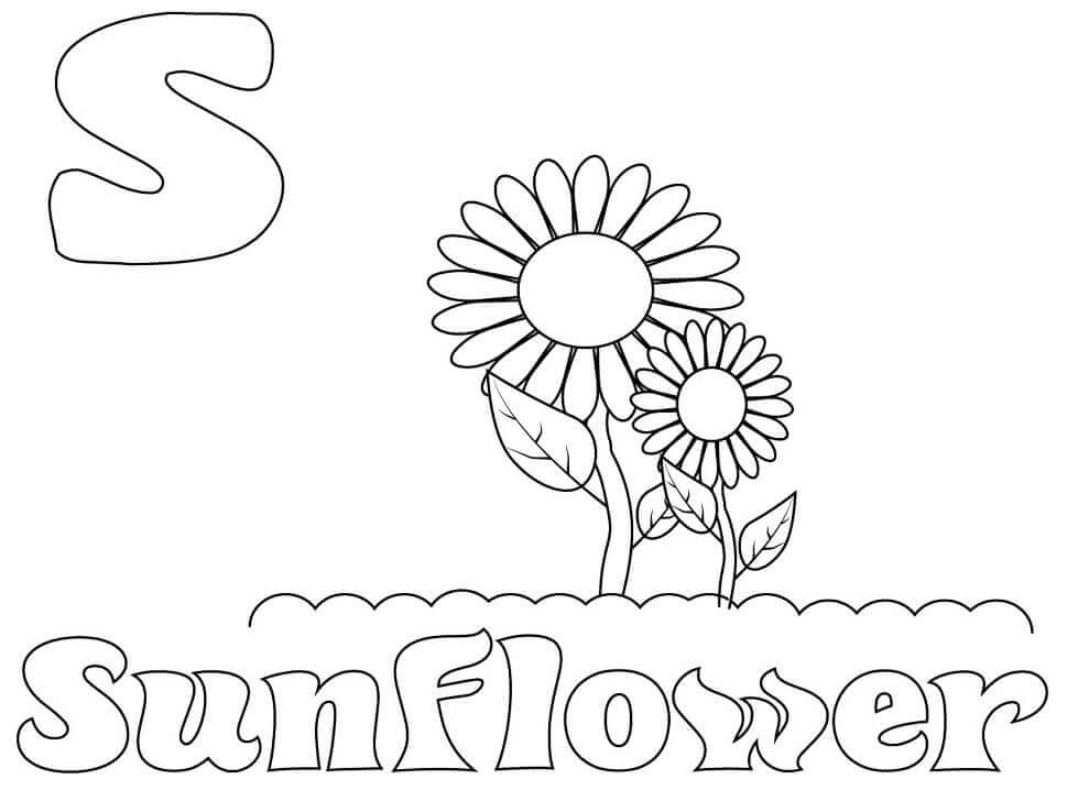 Dibujo de Girasol Letra S para Colorear