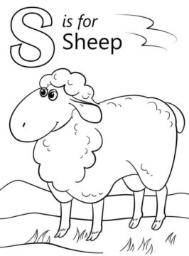 Dibujo de Oveja Letra S para Colorear