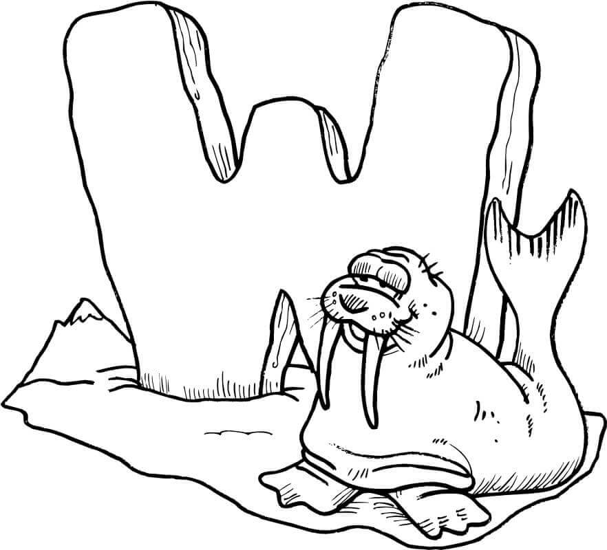 Dibujo de Morsa Sonriendo Letra W para Colorear