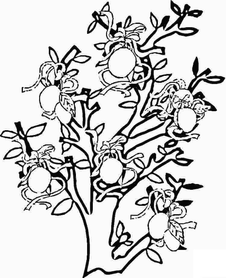 Dibujo de Dibujar un Limonero para Colorear