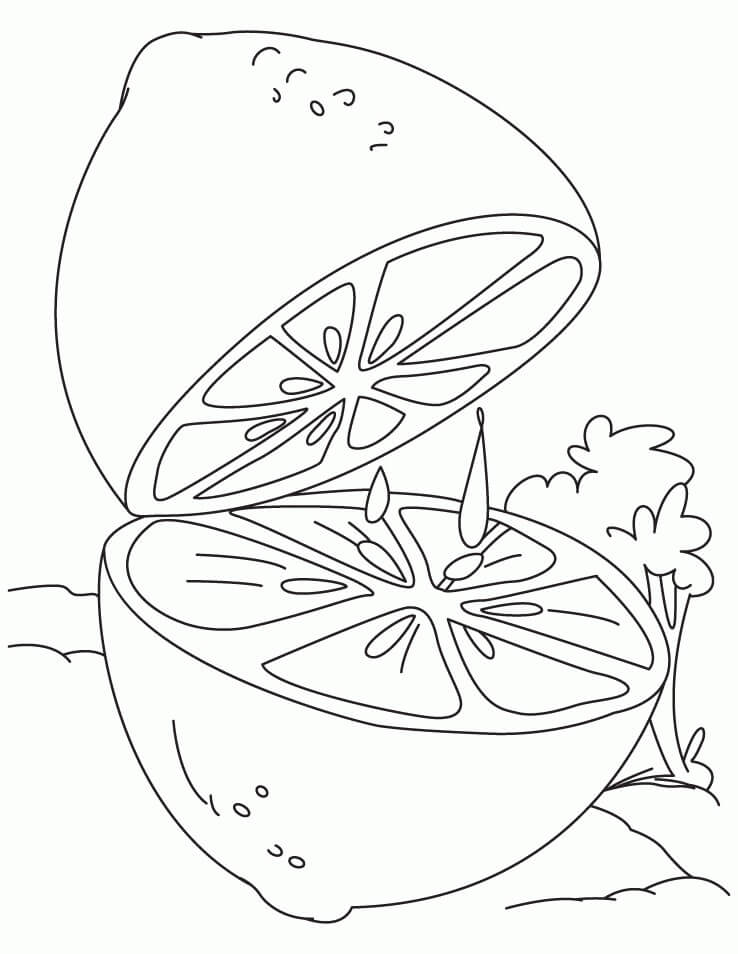 Dibujo de Limón Fresco y Jugoso para Colorear
