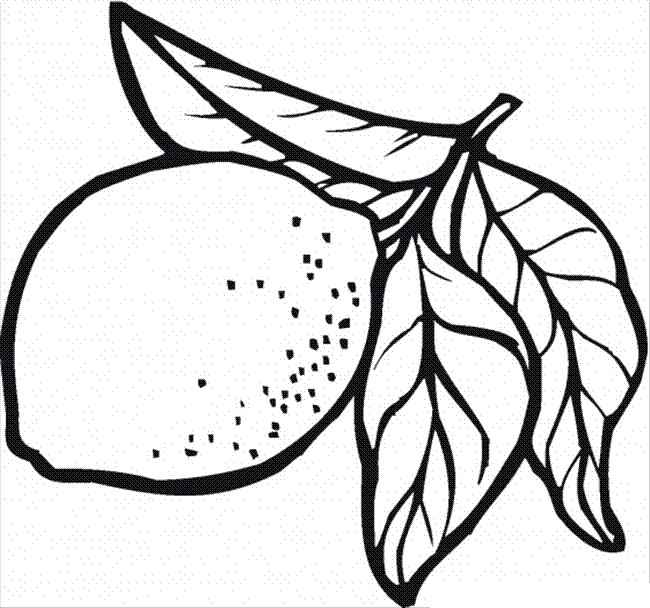 Dibujo de Limón con Hoja para Colorear
