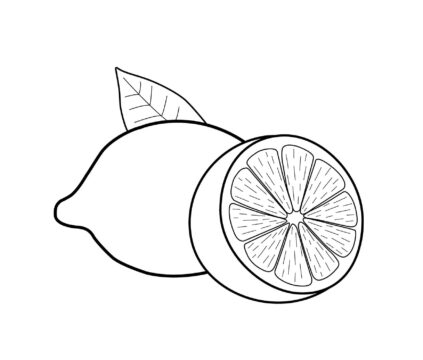 Dibujo de Un limón y Medio limón para Colorear