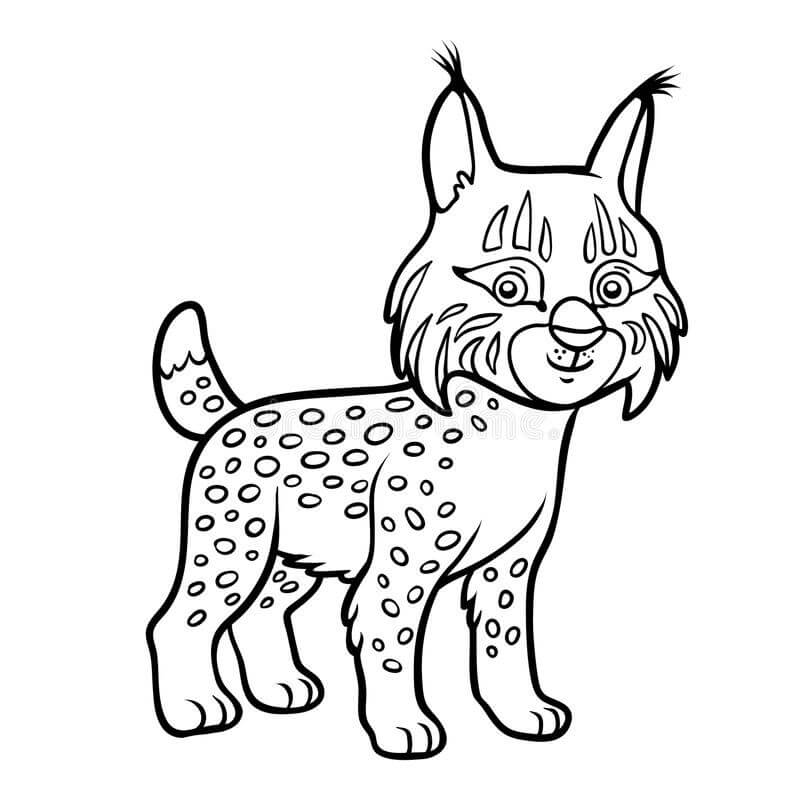 Dibujo de Buen Lince para Colorear