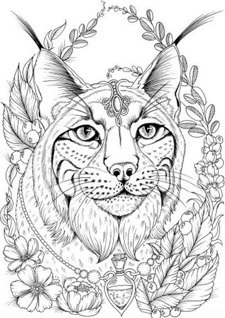 Dibujo de Cara de Lince con Flor para Colorear