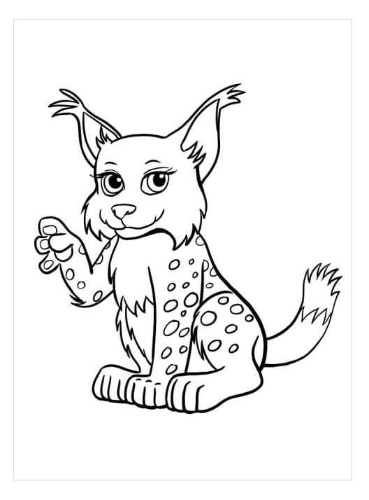 Dibujo de Lince Sonriendo para Colorear