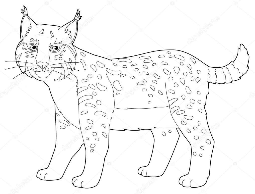 Dibujo de Lince de Dibujos Animados para Colorear