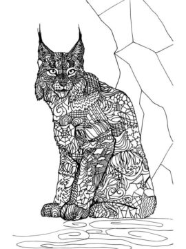 Dibujo de Mandala de Lince para Colorear