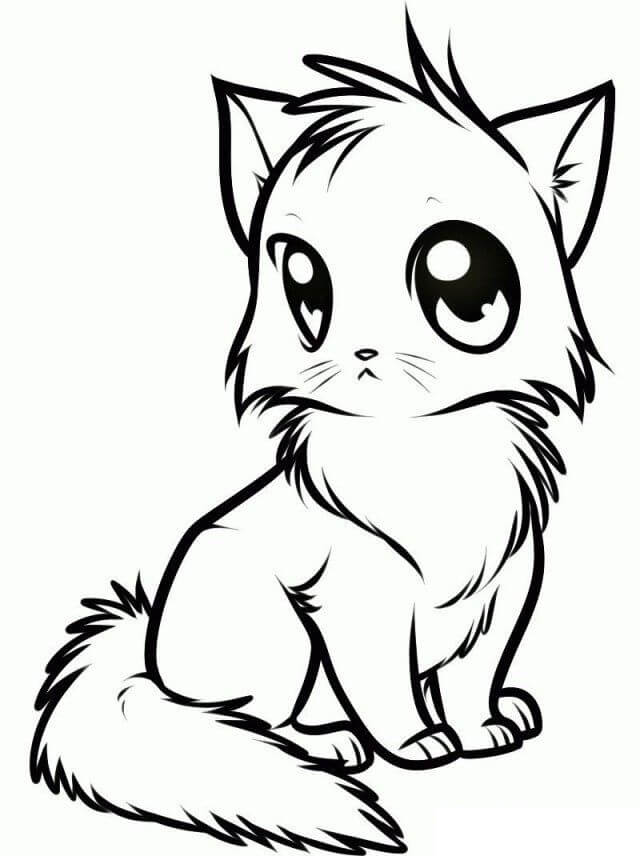 Dibujo de Lindo Gato Sentado para Colorear