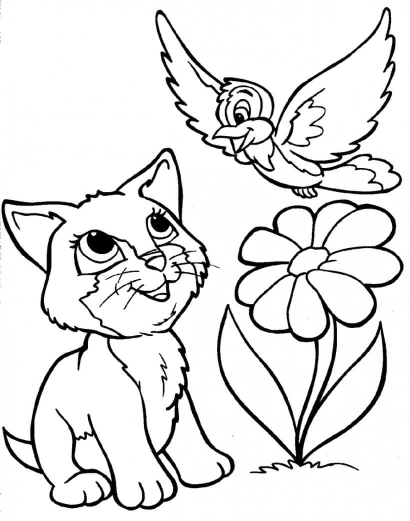 Dibujo de Lindo Gato y pájaro para Colorear