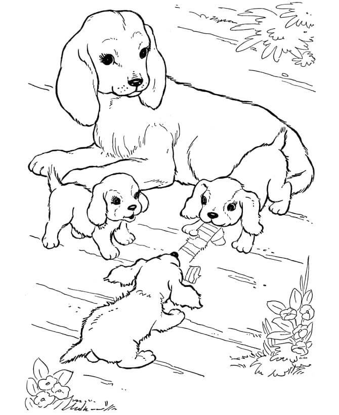 Dibujo de Lindo Perro de Familia para Colorear