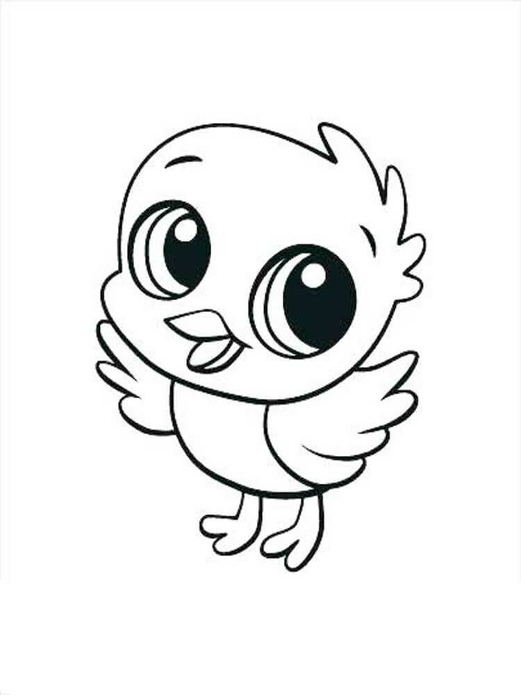 Dibujo de Polluelo Lindo para Colorear