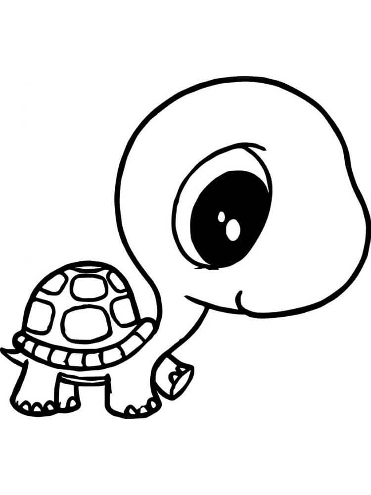 Dibujo de Tortuga Linda para Colorear