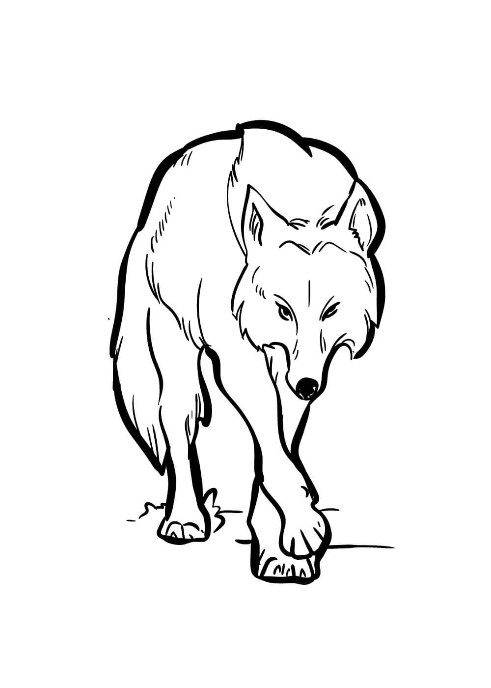 Dibujo de Bonito Lobo Caminando para Colorear