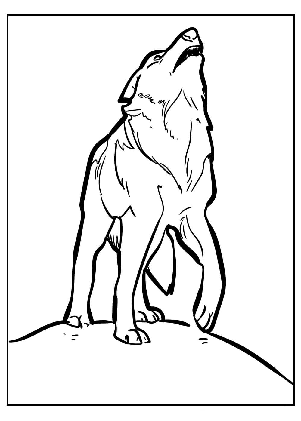 Dibujo de Buen Lobo para Colorear