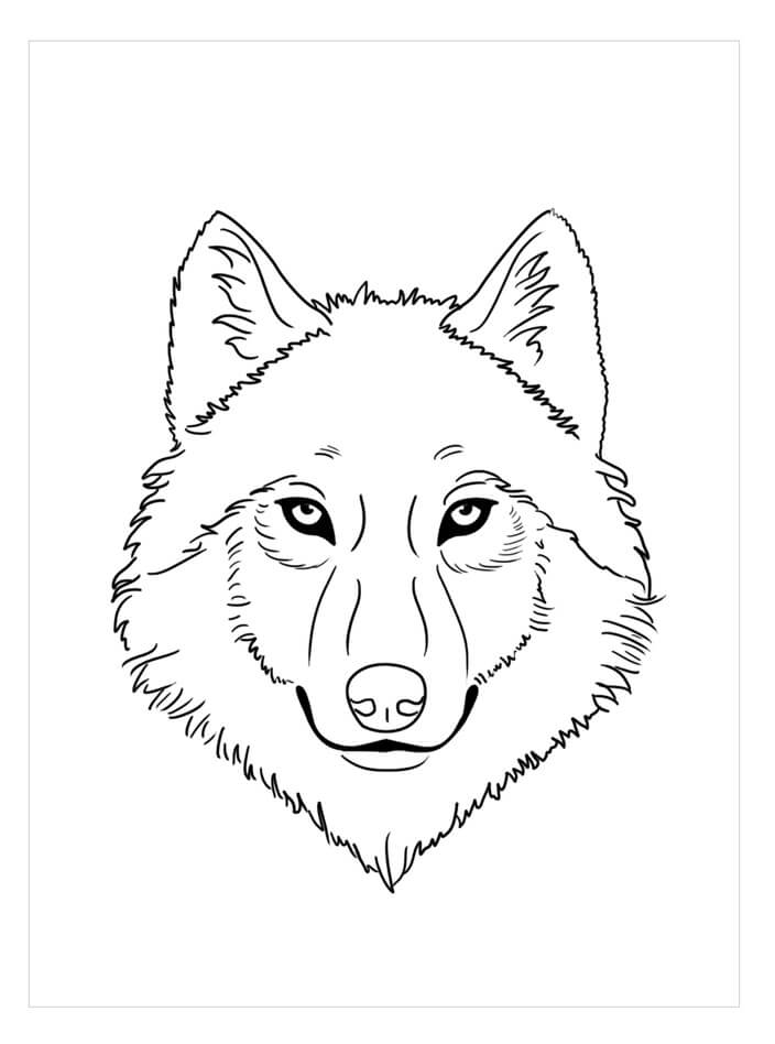 Dibujo de Cara de Lobo para Colorear