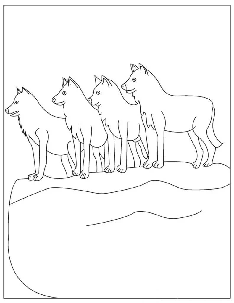 Dibujo de Cuatro Lobos para Colorear
