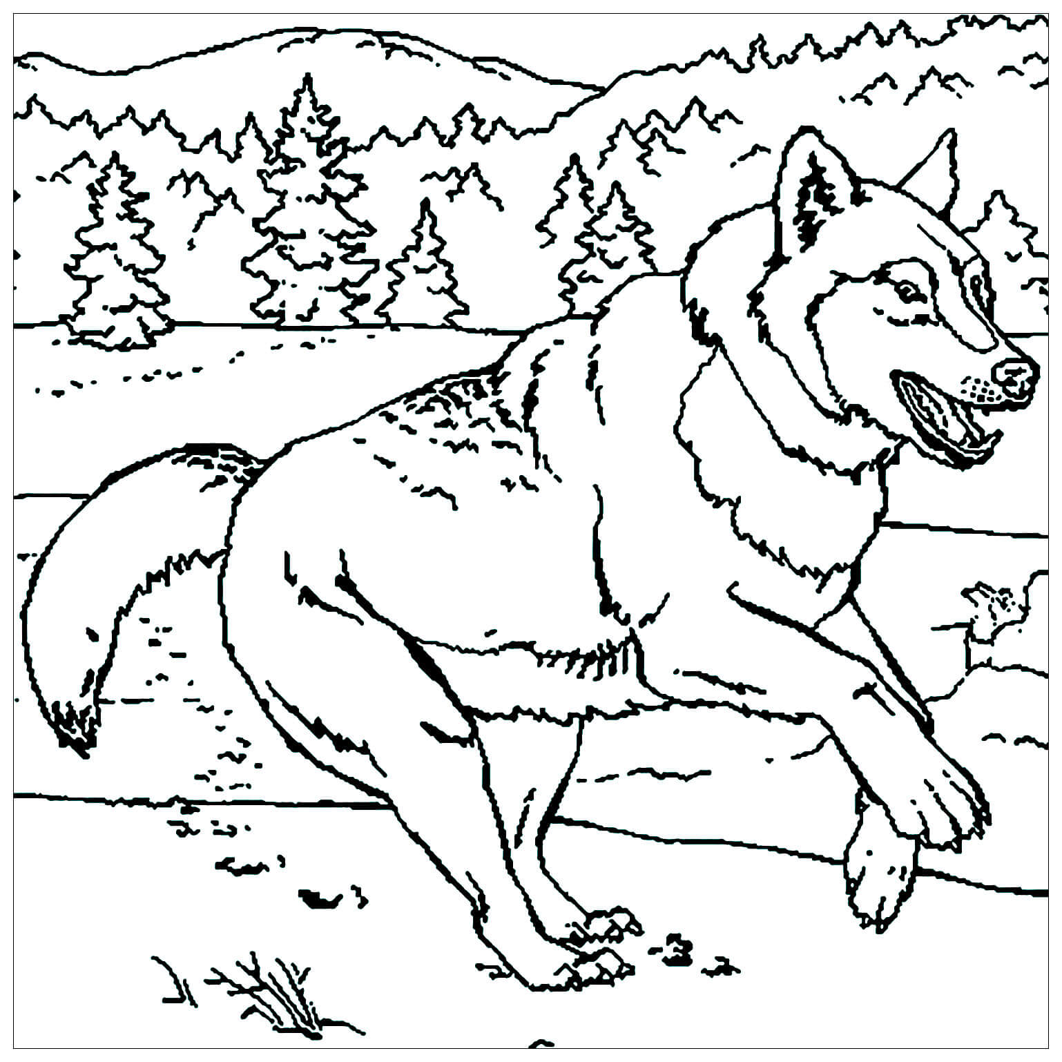 Dibujo de Lobo para Colorear
