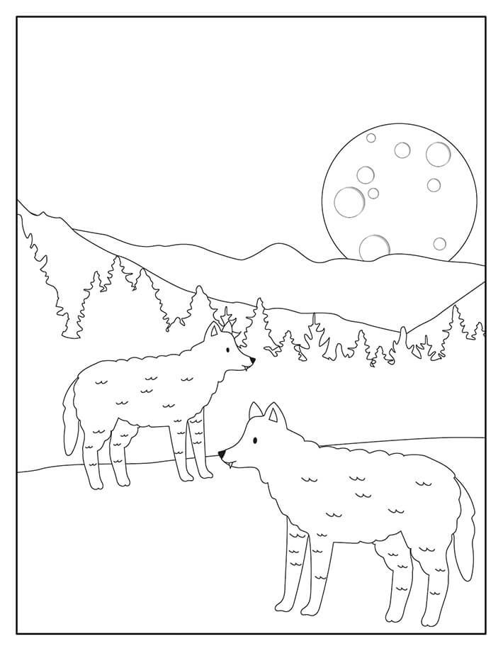 Dibujo de Dos Lobos para Colorear