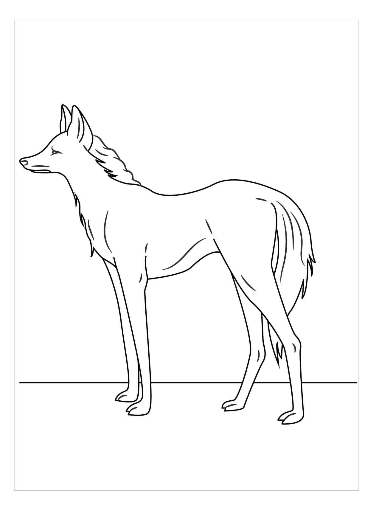 Dibujo de Dulce Lobo para Colorear