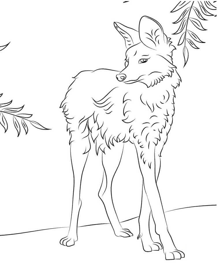 Dibujo de Lobo Amelenado para Colorear
