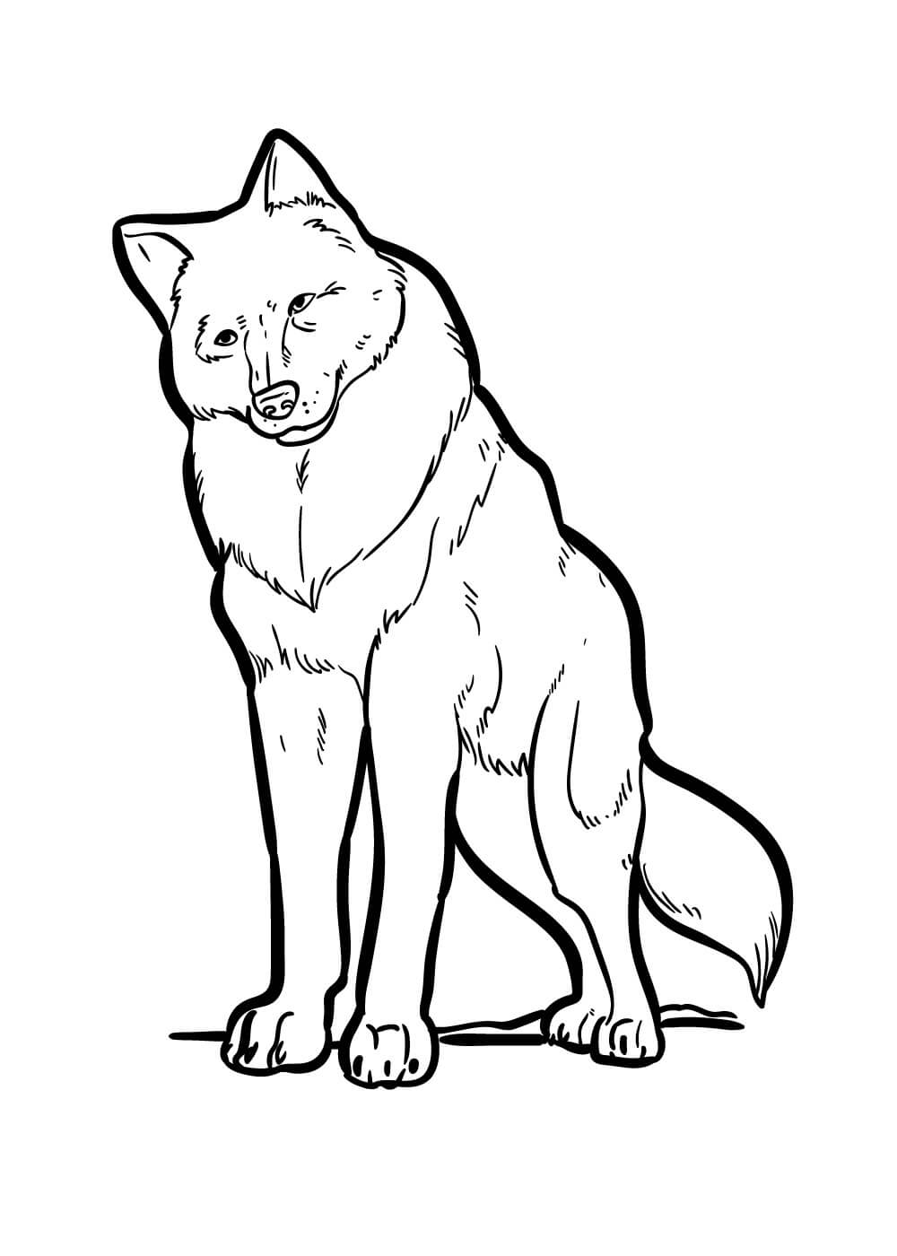 Dibujo de Lobo Asombroso para Colorear