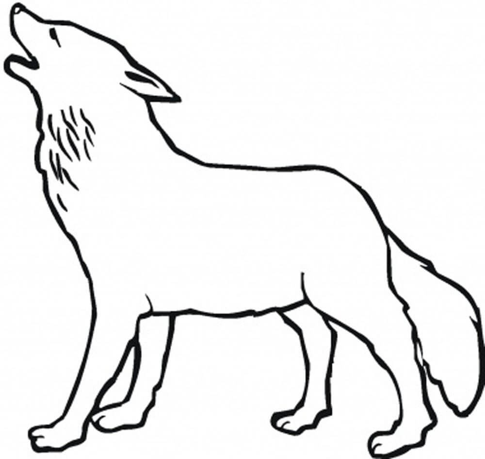 Dibujo de Lobo fácil para Colorear