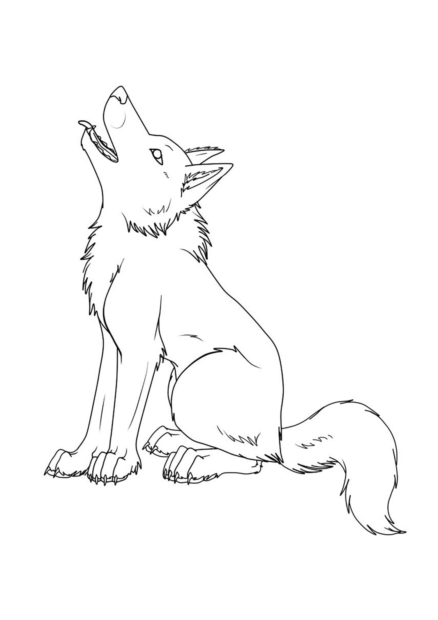 Dibujo de Lobo Sentado Scaled para Colorear