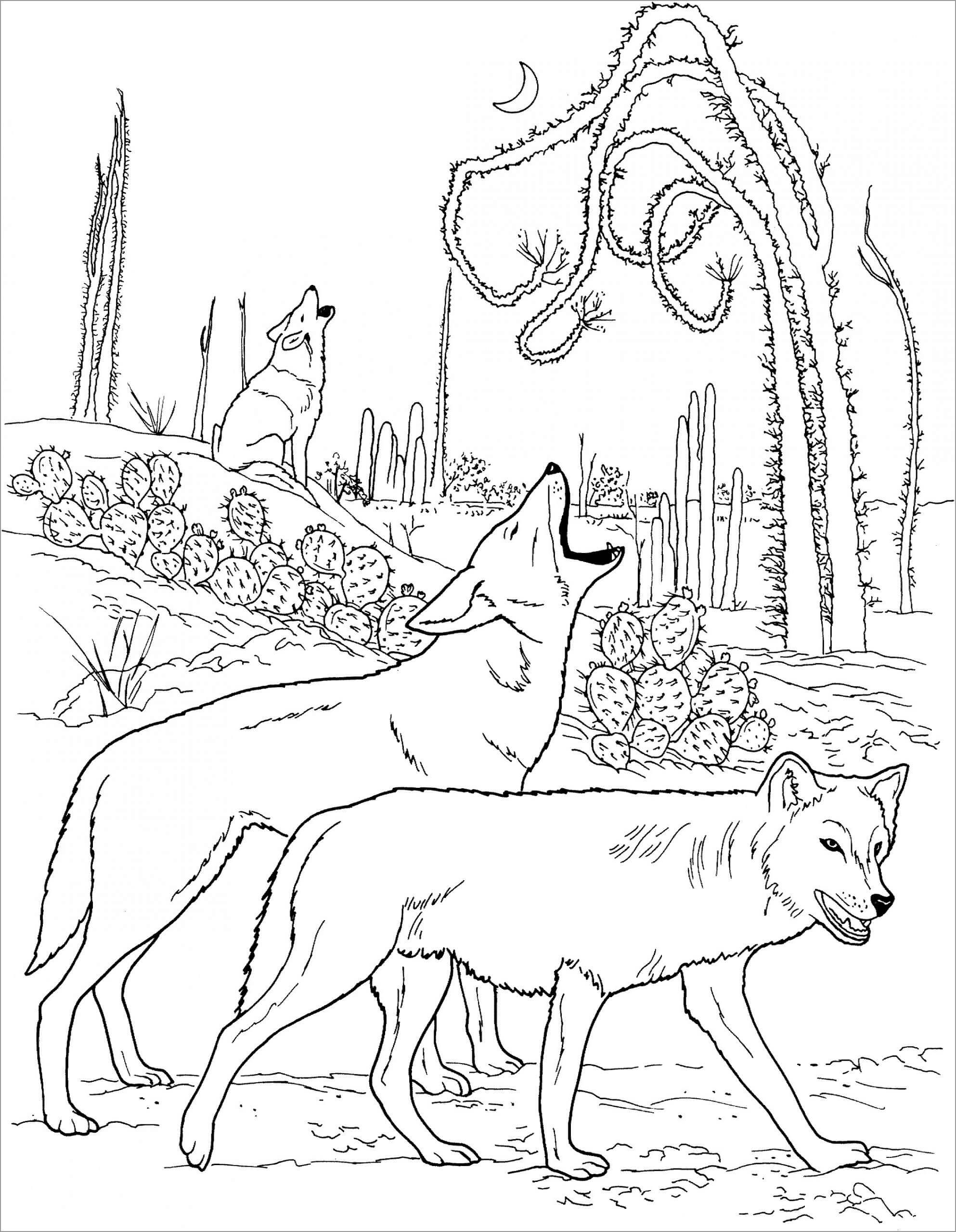Dibujo de Tres Lobos Aulladores para Colorear