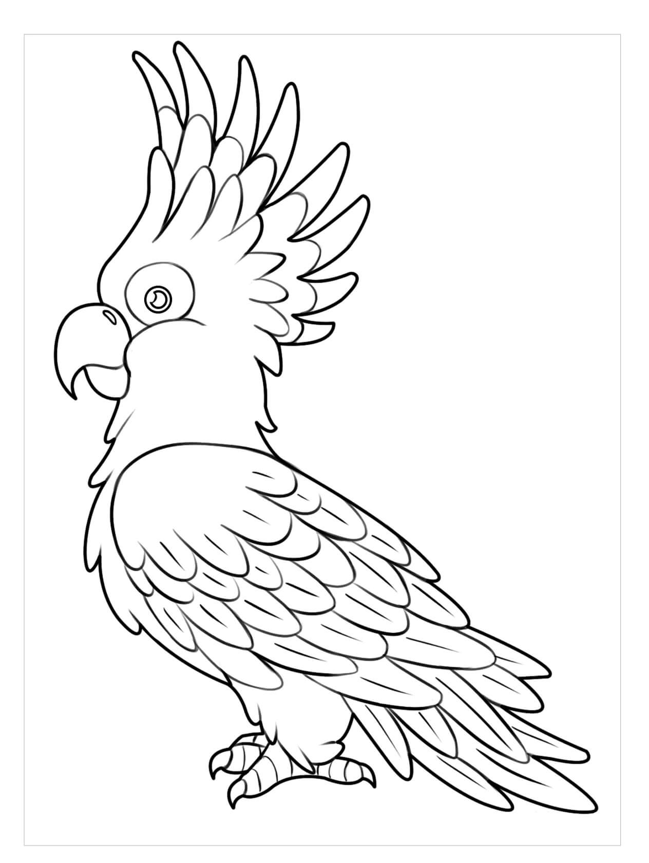 Dibujo de Gran Loro para Colorear