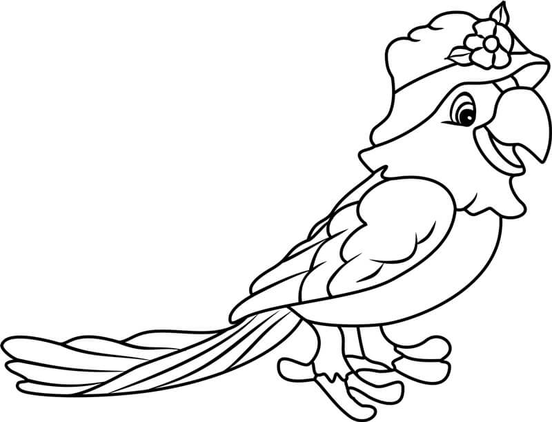 Dibujo de Hermoso Loro para Colorear