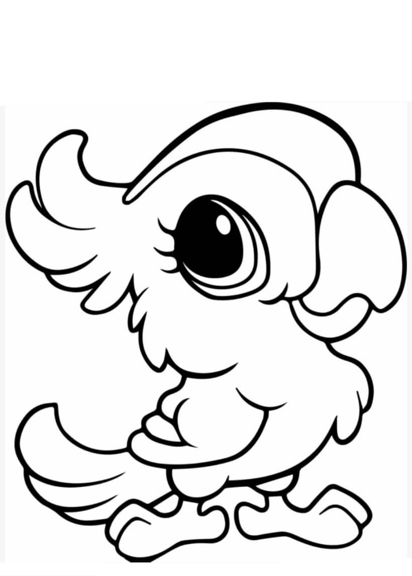 Dibujo de Loro básico de Dibujos Animados para Colorear