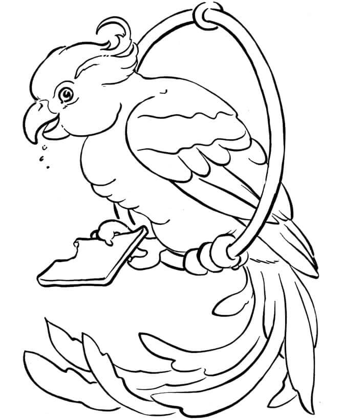 Dibujo de Loro de Mascota para Colorear