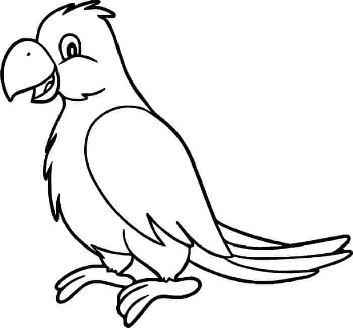 Dibujo de Loro Divertido para Colorear