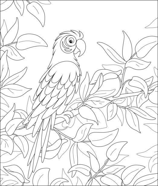 Dibujo de Loro en árbol para Colorear