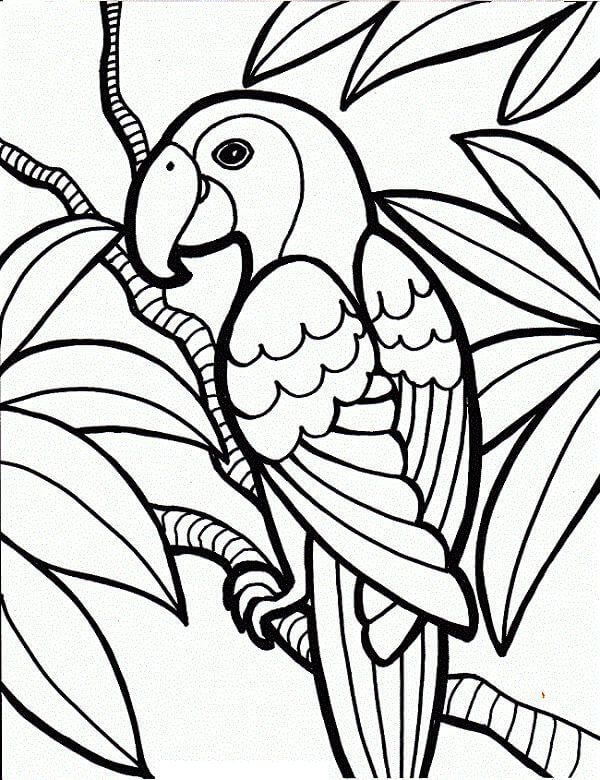 Dibujo de Loro Es para Adultos para Colorear