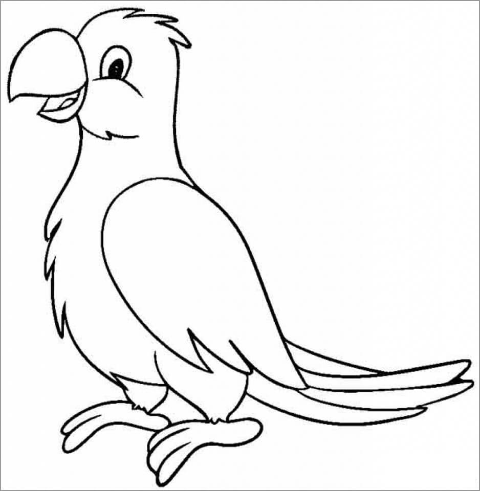 Dibujo de Loro Imprimible para Colorear