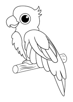 Dibujo de Loro Lindo en árbol de Rama para Colorear