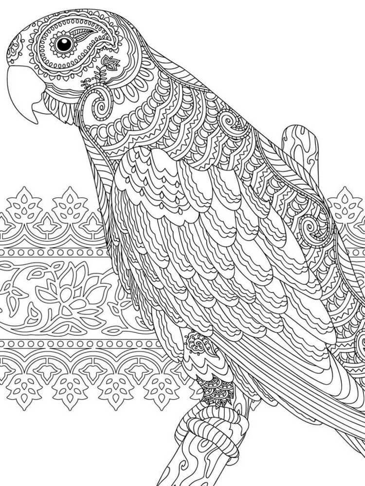 Dibujo de Loro Mandala para Colorear