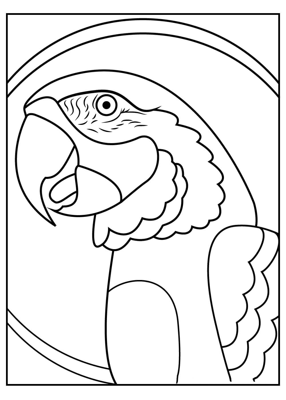 Dibujo de Retrato de Loro para Colorear