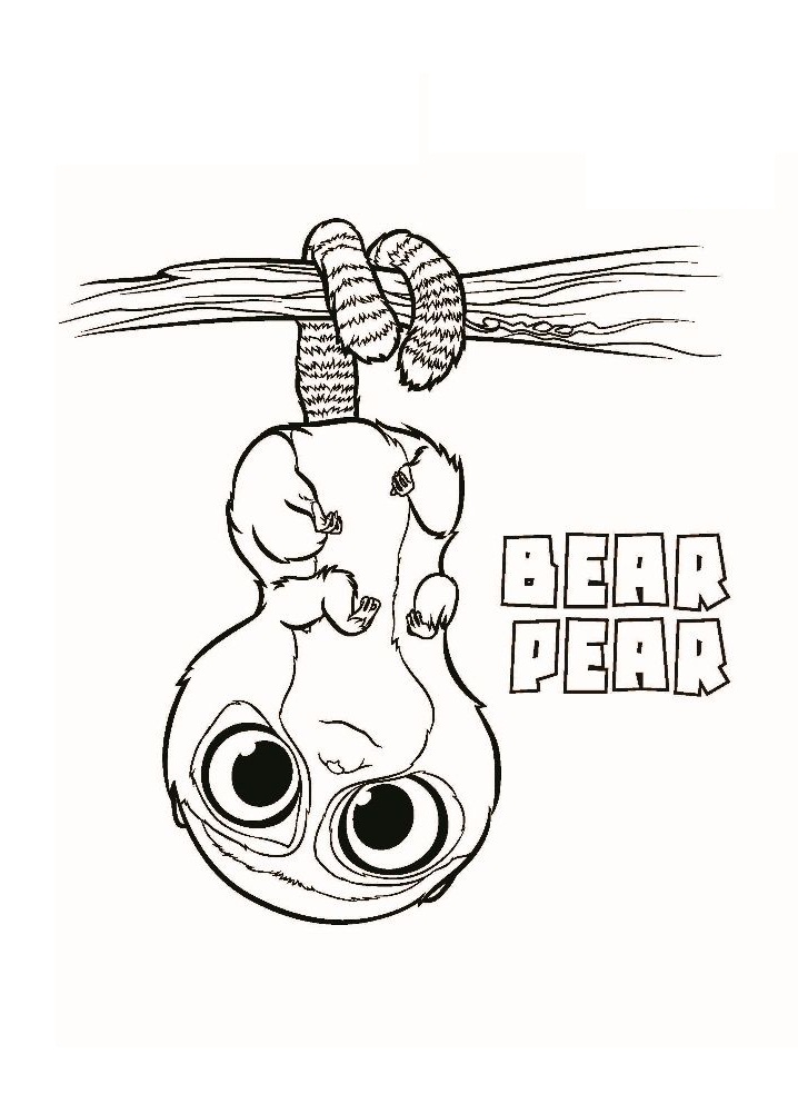 Dibujo de Oso Pera para Colorear