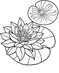 Dibujo de Flor de Loto en Hoja de Loto para Colorear