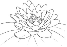 Dibujo de Flor de Loto para Colorear