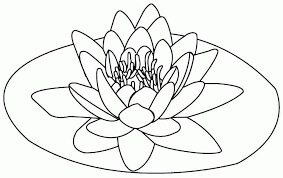Dibujo de Loto Asombroso para Colorear