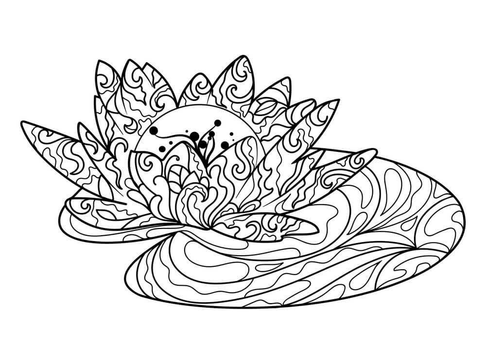 Dibujo de Loto Dulce para Colorear