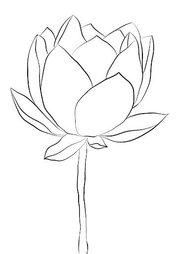 Dibujo de Loto Perfecto para Colorear