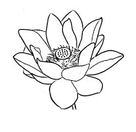 Dibujo de Lotus 3 para Colorear